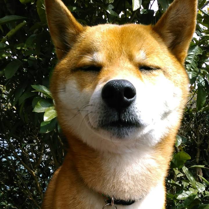 77eb2449 7dcb 4f6a 92d3 7eeeb629466c