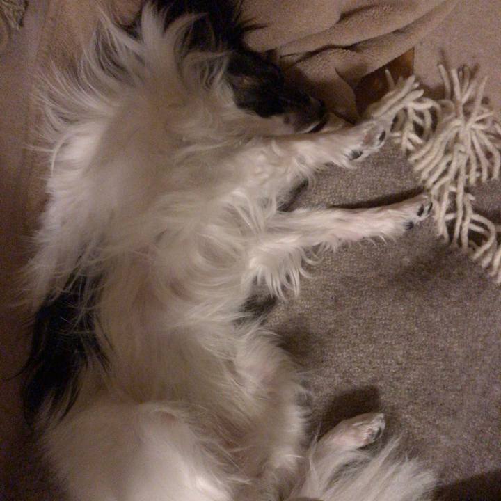 77ebdcda e347 49b3 902b 8a5f37a8c2f5