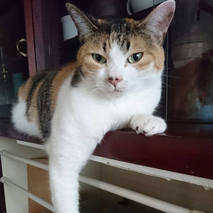 77ec13bd cc35 41b0 ad80 747b4a06c29e