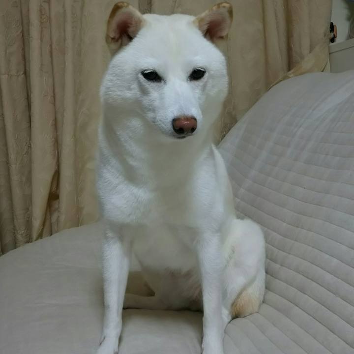 77ec31ad 9b5f 45a7 aaa9 ec968005b8d1