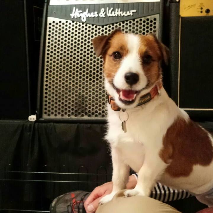 77ecd878 872d 427d b800 e0925952a887