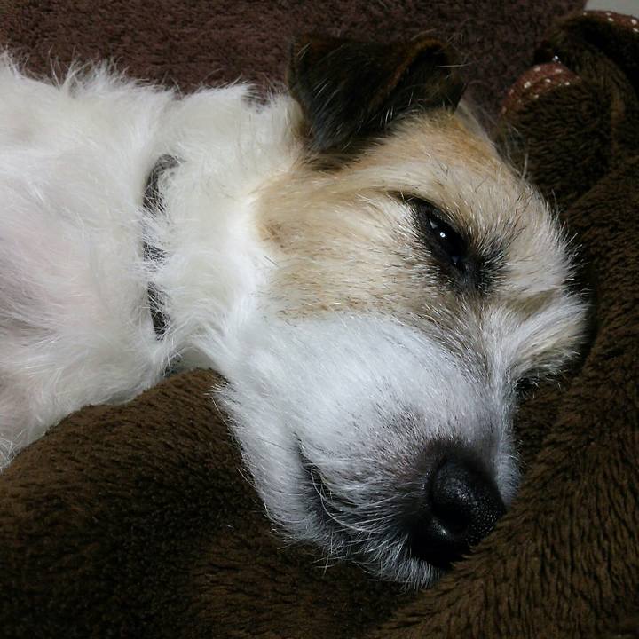 77ee2094 413b 4ac4 91fe e1e8bb8ad3fd