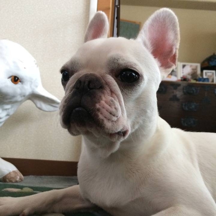 77ee426e 9bb8 44be a3ca b35f1e209b6c