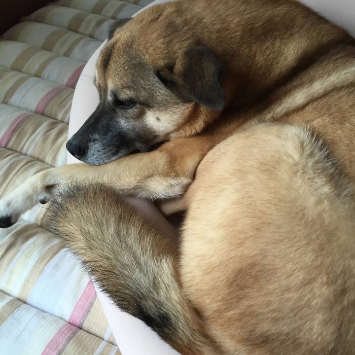 77ee824f 9469 4fac ae80 a955f6a3d941