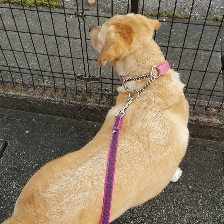 77eeb2f6 7fab 489a 837e 930a0a8b4160