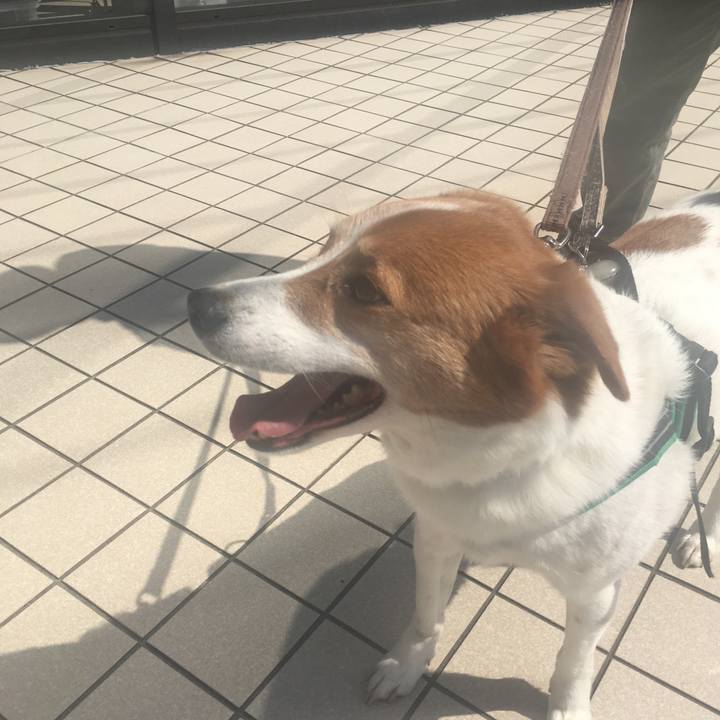 77eec2ba 2d67 4e08 a0ab 0d3ef2dddeeb