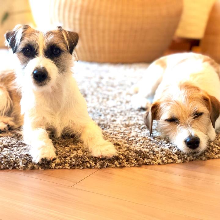 77efc29d 78c5 47ff 8116 26ece96c0994