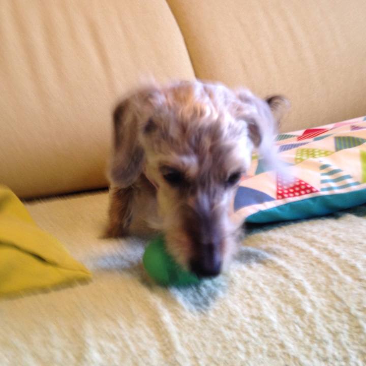 77f051ae bed5 4288 842f a039d2443130