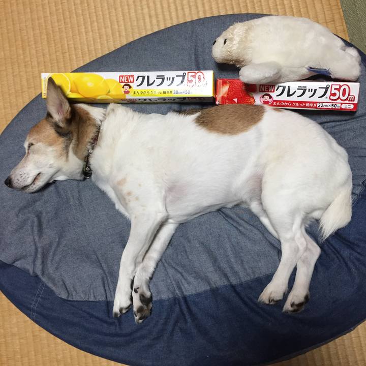 77f0cba7 3133 47fc 9a7a f59be21083b4