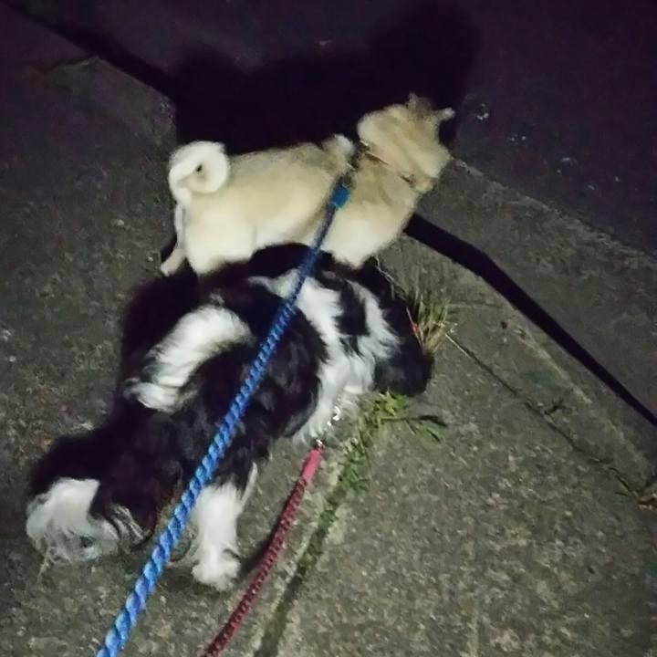 77f0db68 b426 4197 80c6 ad050420ba69