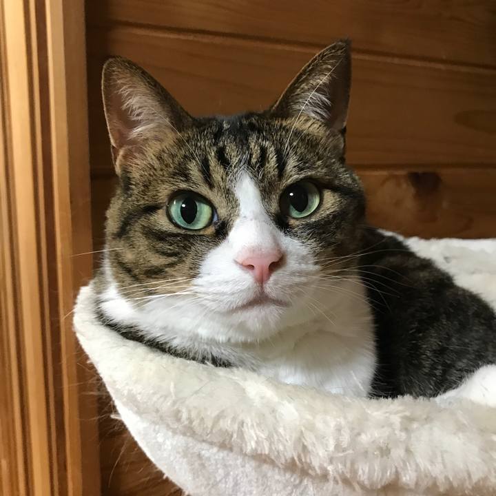 77f13986 39b4 46f7 bba0 57e19bd36e77