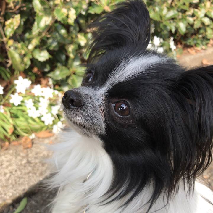 77f2094b 379e 47b9 a74c 7276b9a12864