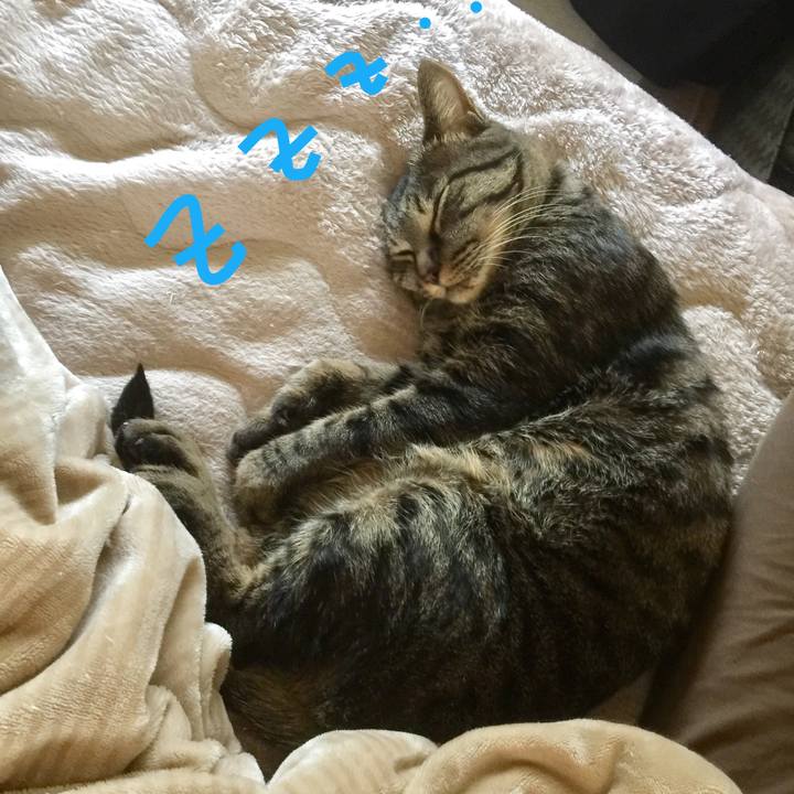 77f22199 477c 4b64 a43d 59e84100ab31