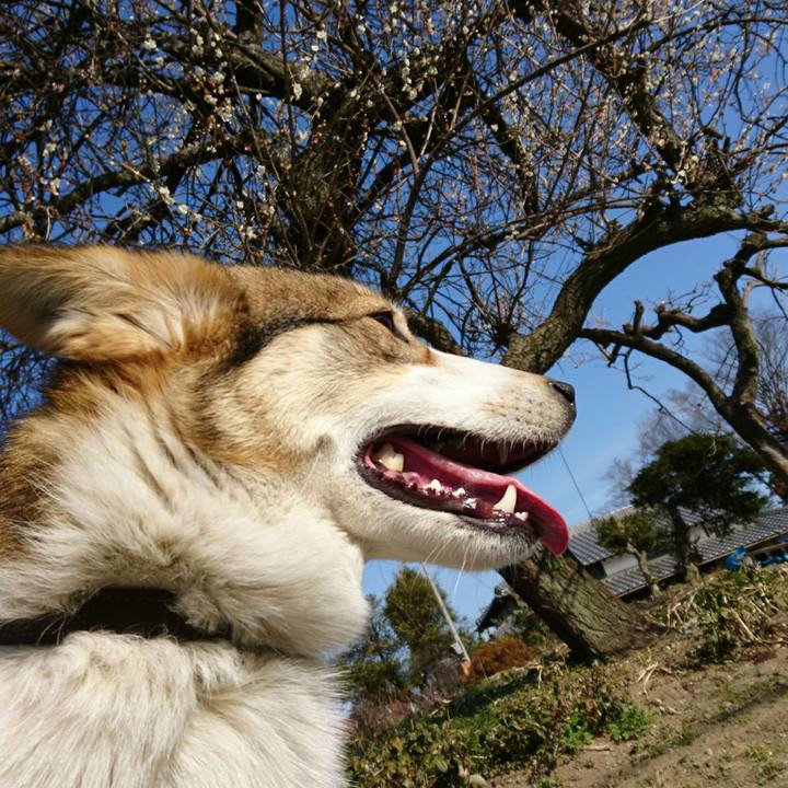 77f25aaa ba58 459d 9f1f 8ba14f9e47bd