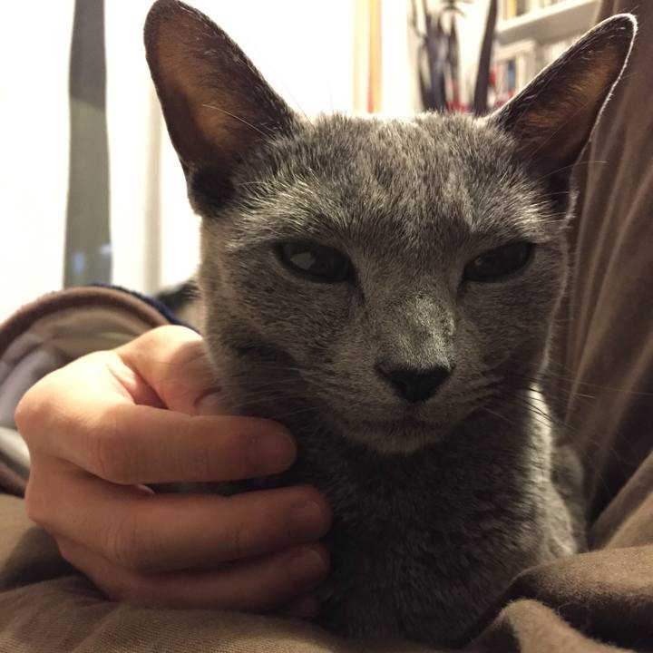 77f260fa f954 42bc af12 4030618ef942