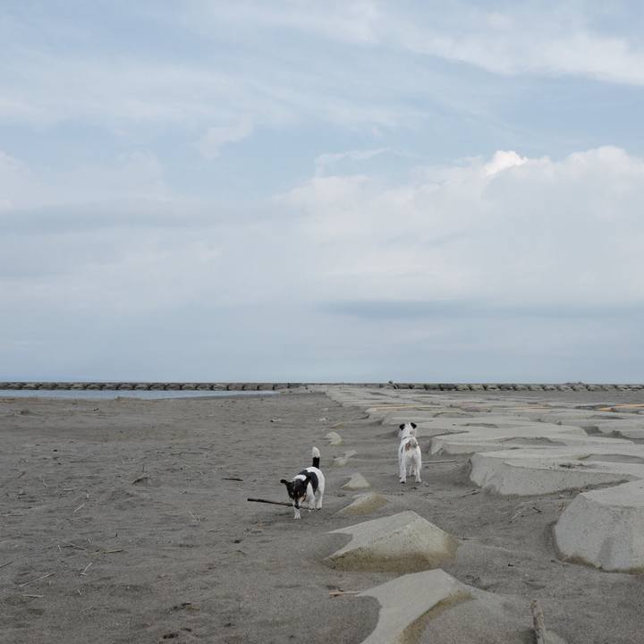 77f2a09c 6dc6 4a67 a65f 9ac219335401