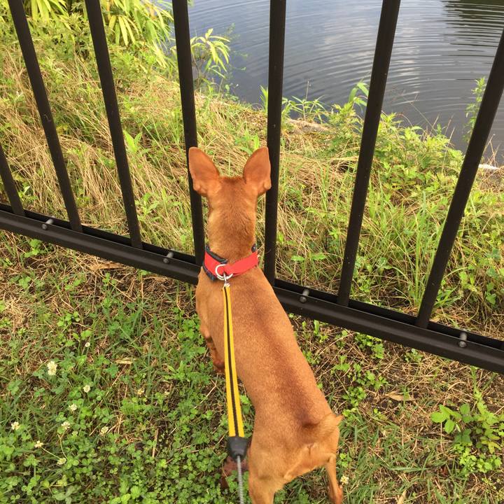 77f2fb39 e8c3 48ea 8648 dccdaf1bc6c7