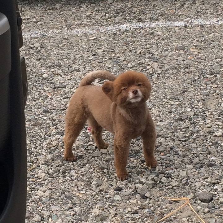 77f32f38 208a 4364 adce 1eafa095a41c