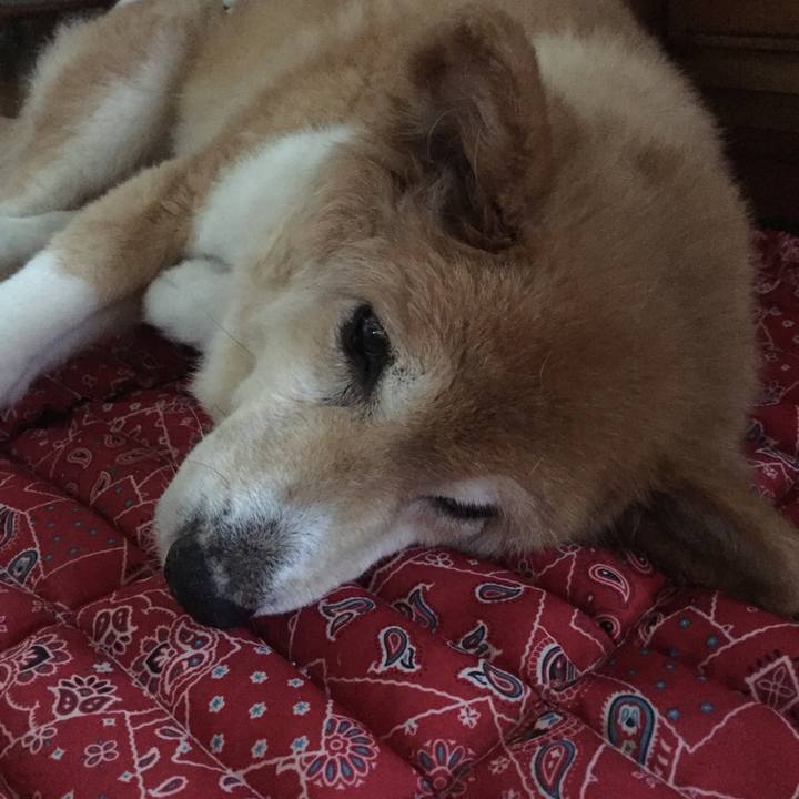 77f37722 5f18 4a80 be60 16b710f954b7