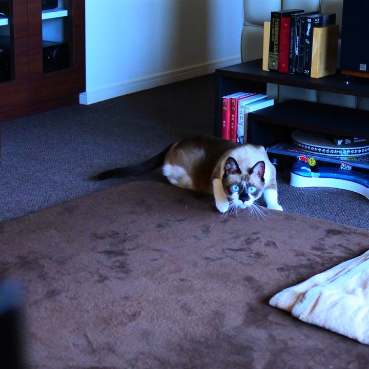 77f3c017 91f7 4c42 a3d4 091219511256