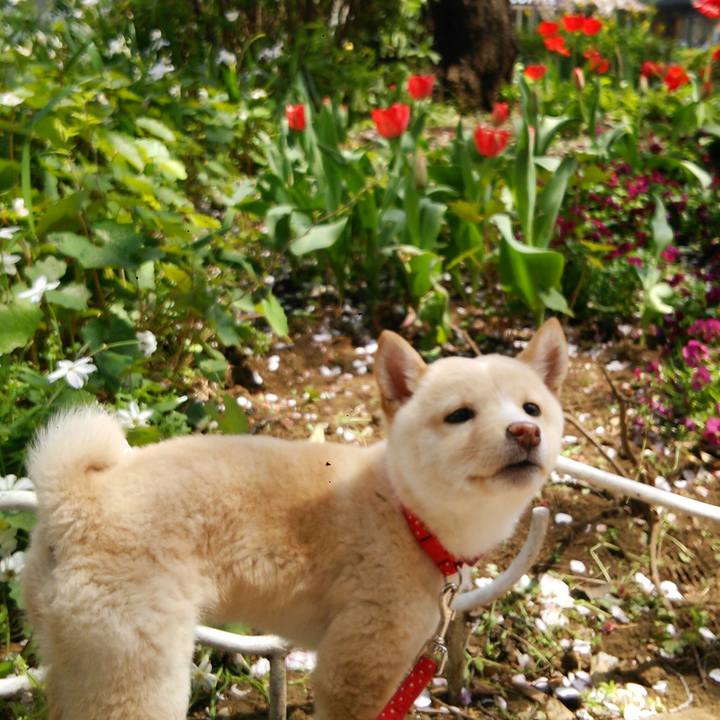 77f44499 198d 4b8c aac9 d99faeab845b