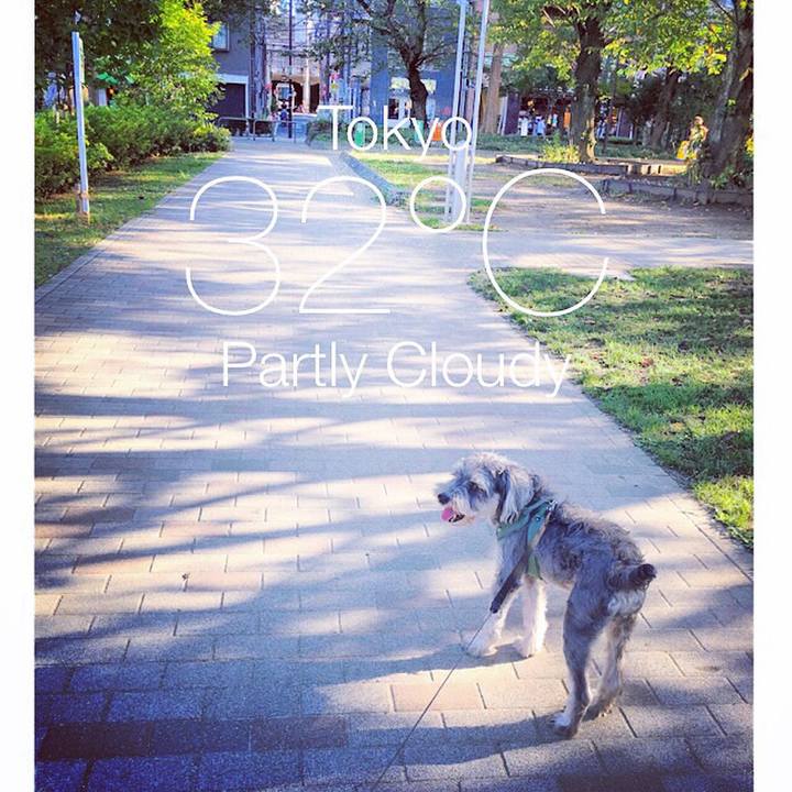 77f45e86 1be2 4e65 b008 6f2fae5ba3be