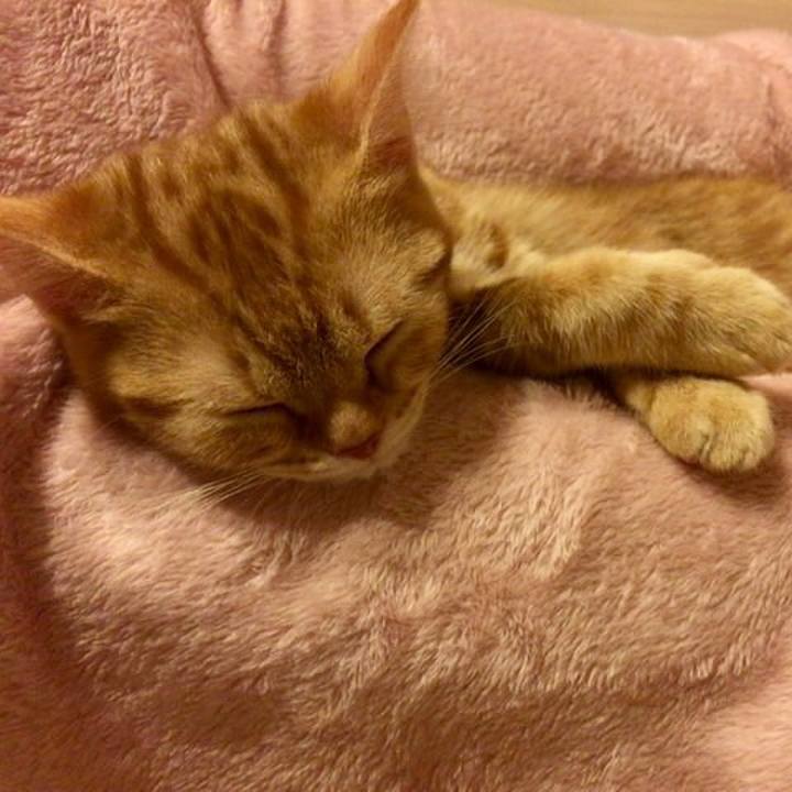 77f464e3 6bae 4945 a260 9ccbe92ea38e