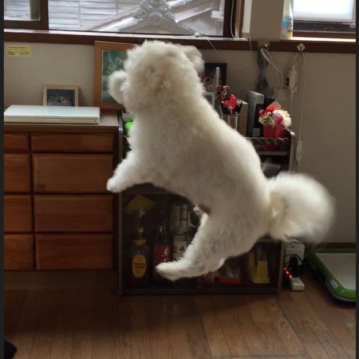 77f483f0 98cf 48ec 9649 dcaf9ba29e42