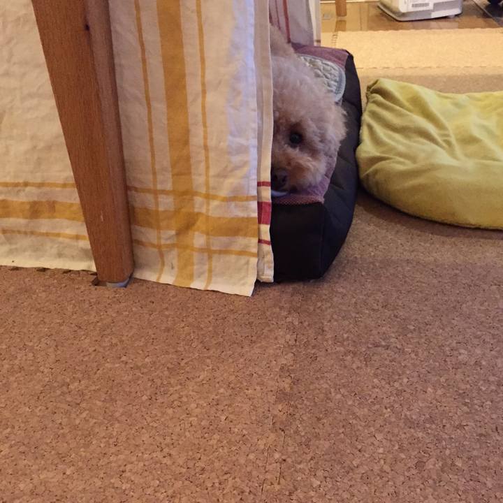 77f4d822 30b7 4f96 a9e7 ee454640c38c