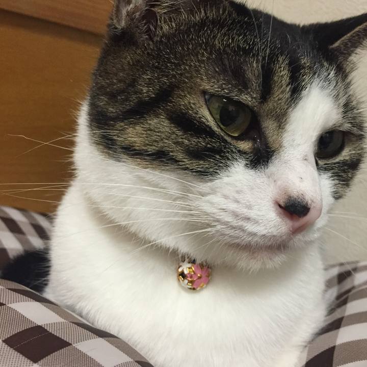 77f4e696 4b72 40b0 b9f1 3006d935d5e7