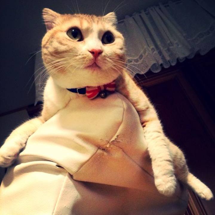 77f4eb7f 2b58 4323 ad69 ddb341419bd0