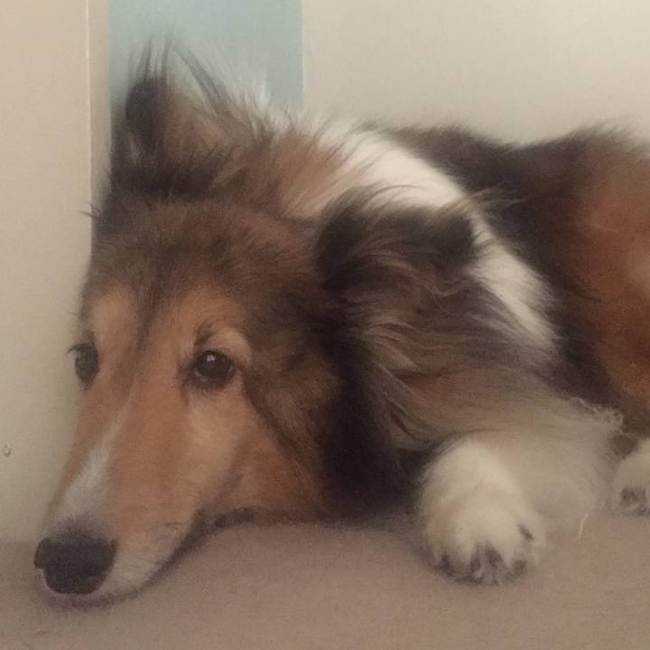 77f5758e ad36 4064 a026 37ccfff3cb99