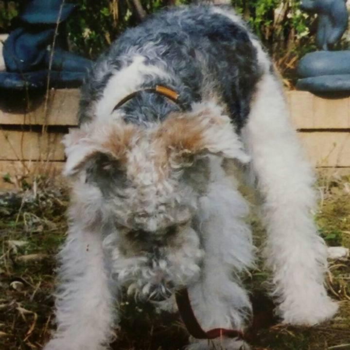 77f5c202 1469 477d 9988 b6468555b138