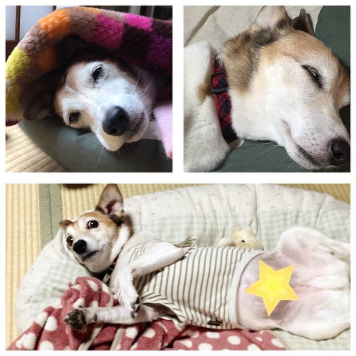 77f5f425 6a68 47d3 8ef2 2d5d8443d887