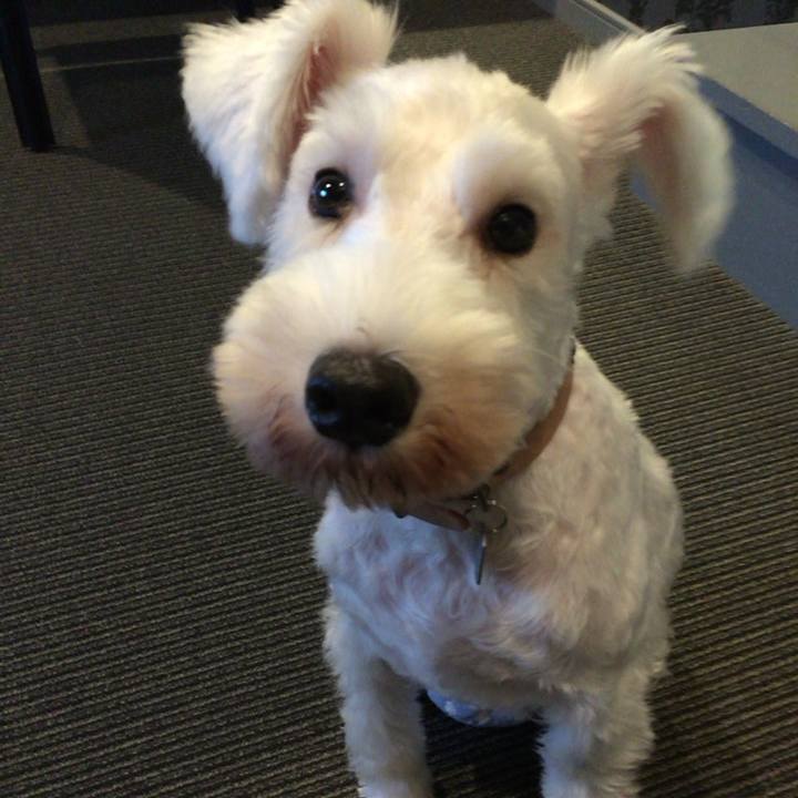 77f6370f 8a80 4b85 abcf 2cff38ab8e84