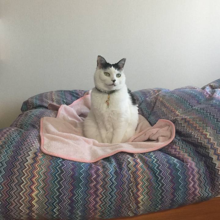 77f6c687 1b6c 425c 90ff 0e009c5b92bc