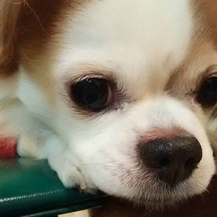 77f6f660 59d5 4343 a2cf b017756bca6f