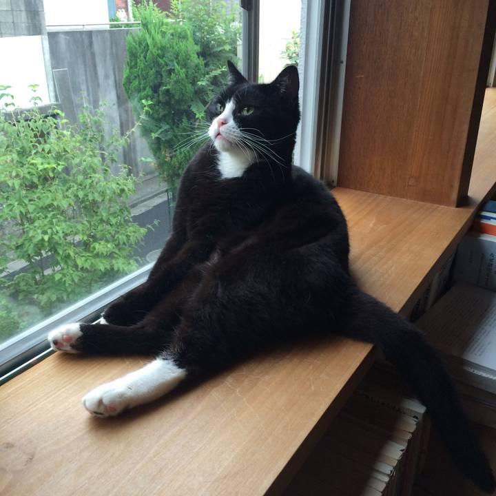 77f79d29 b98d 40c5 be51 c042efd62063