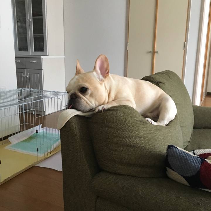 77f80cd8 c5ba 4a53 ae8c 1cbd7a905a0c