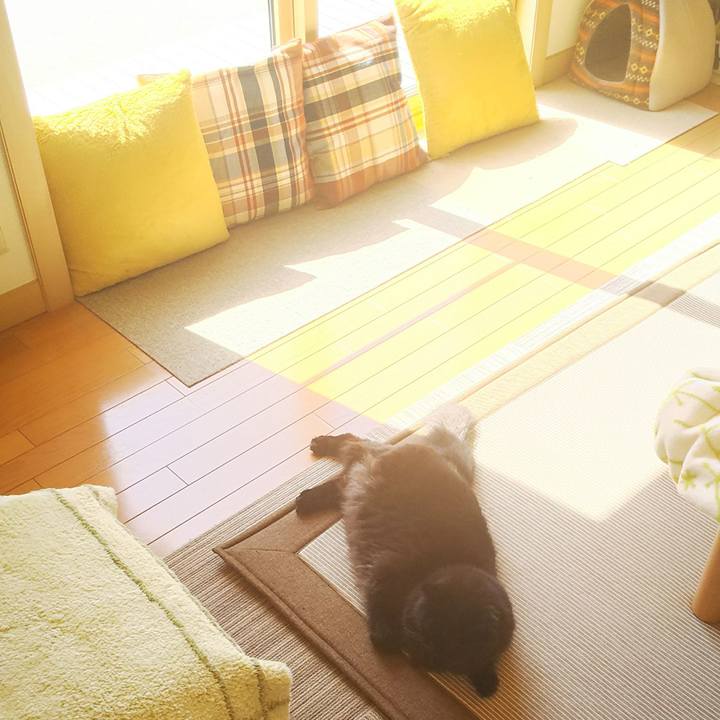 77f88dca 9f47 4773 a90a d13348a9c5cc