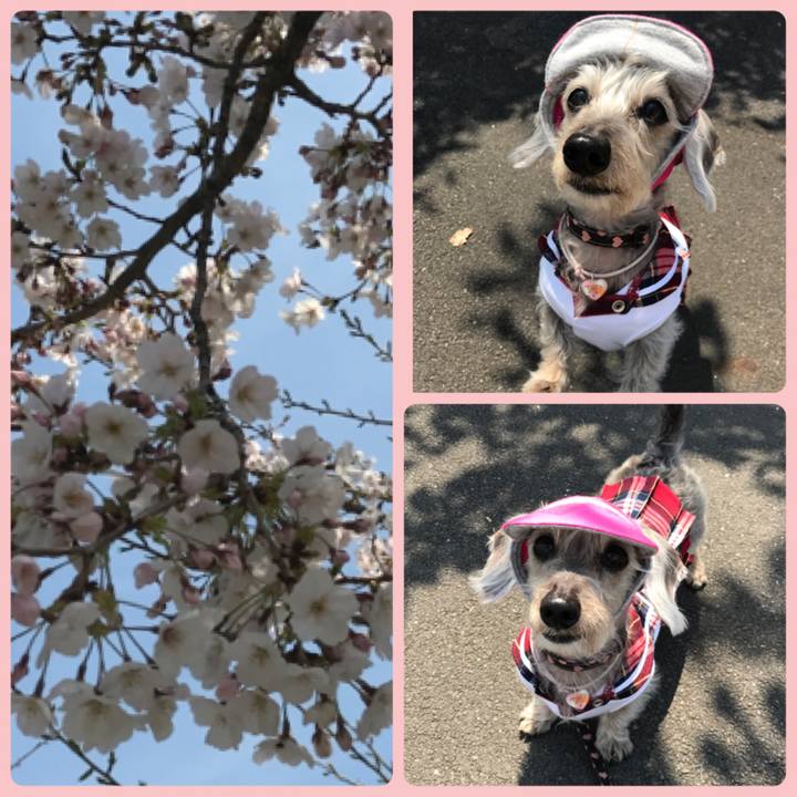 77f8d146 bba1 4bda a1ff af4b50da48ee