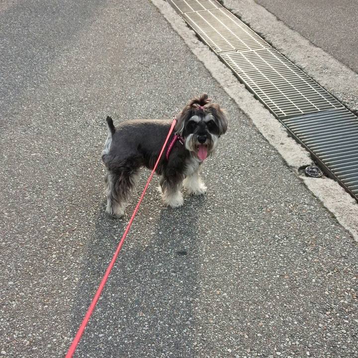 77f8eec0 0d52 4ea8 a7b8 2c23733abe94