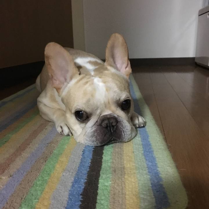 77f93d67 3171 4229 81f3 a802a1956c30