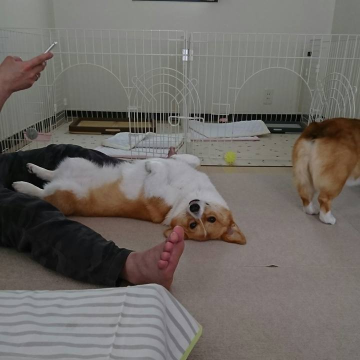 77f95541 3da4 42df 8314 022bceacc723