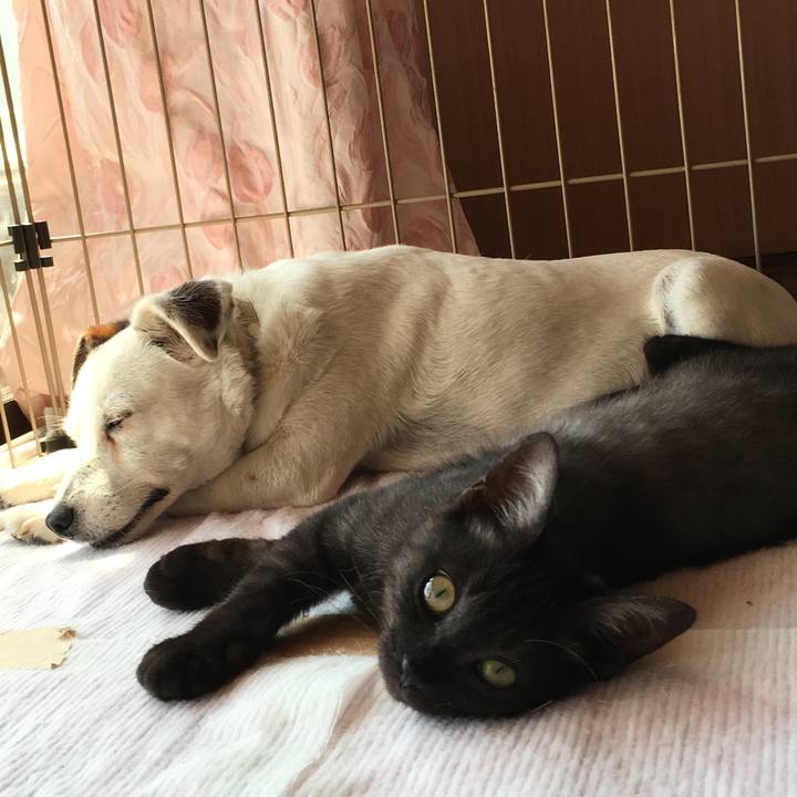 77fa69b0 3166 4a2b be89 37dc838a0796