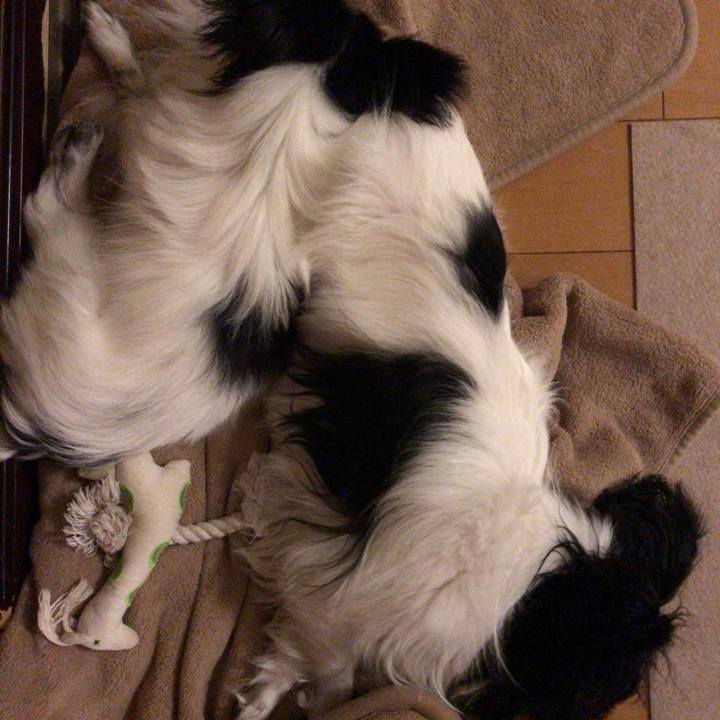 77fb3219 9a21 4914 a8ca d14331174253