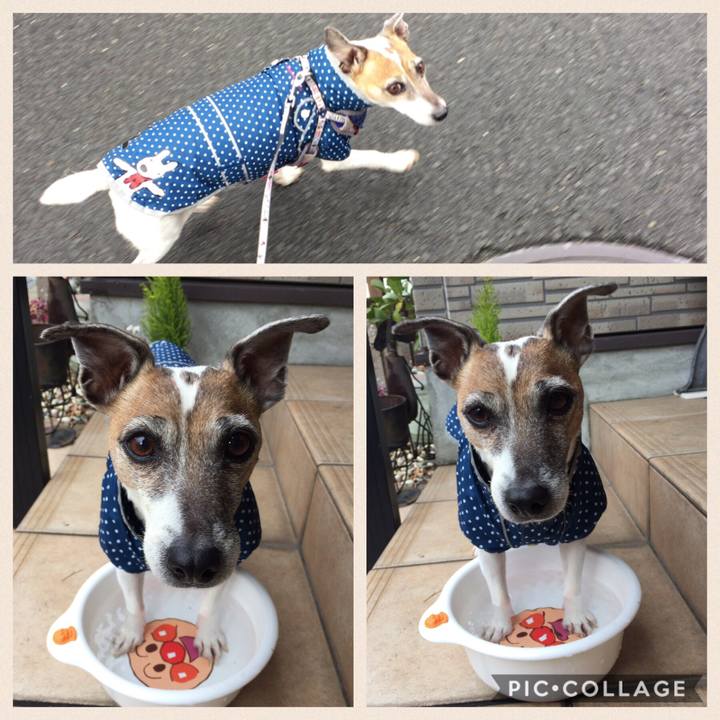 77fcaf66 7b31 4f36 a046 23d0ca61f507