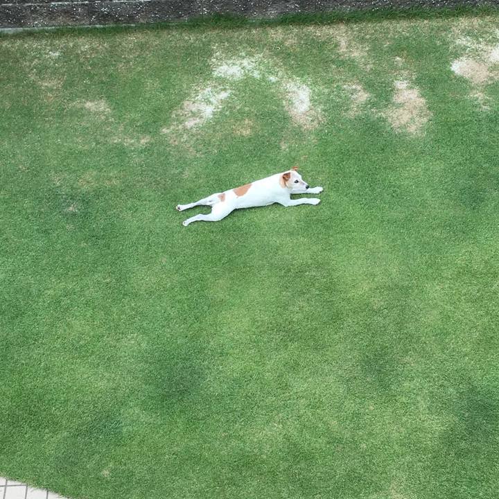 77fcc18b 96bf 47a2 ae7f 1d862154aca3