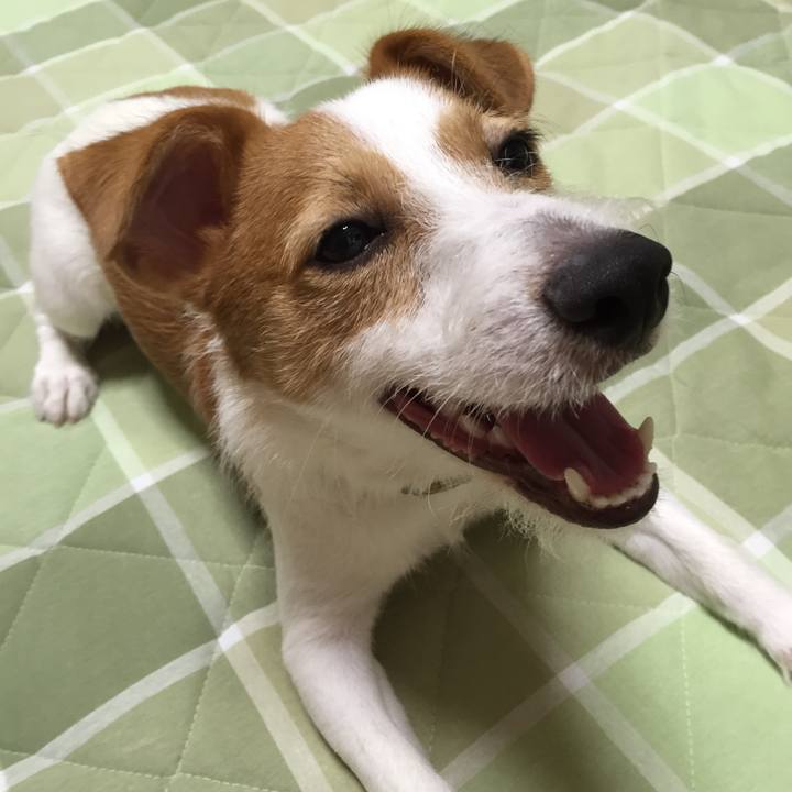 77fd24e7 4258 44ed 954a 65b735234e53