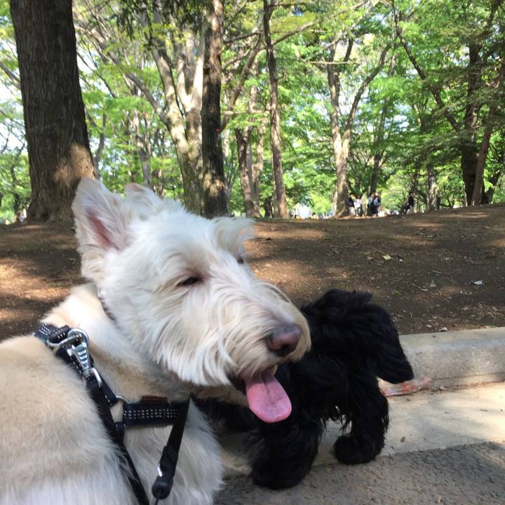 77fdf058 9dc1 4374 83c7 ea6d5c6ab3ba